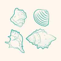 Free vector hand drawn seashell outline illustration