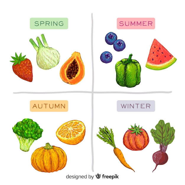 Бесплатное векторное изображение Ручной обращается сезонный календарь еды
