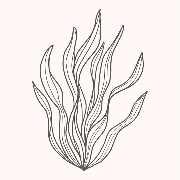 手描き海苔描画イラスト