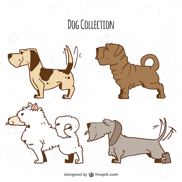 4匹のプロファイルの犬の手描きの選択