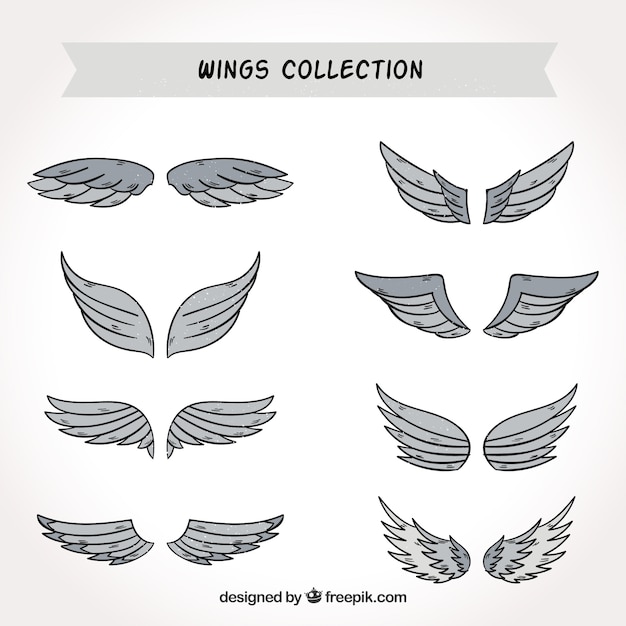 Free vector hand-drawn selection of gray wings