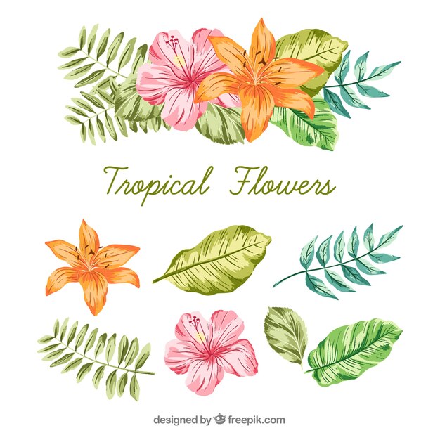 Hand drawn set of colorful tropical flowers