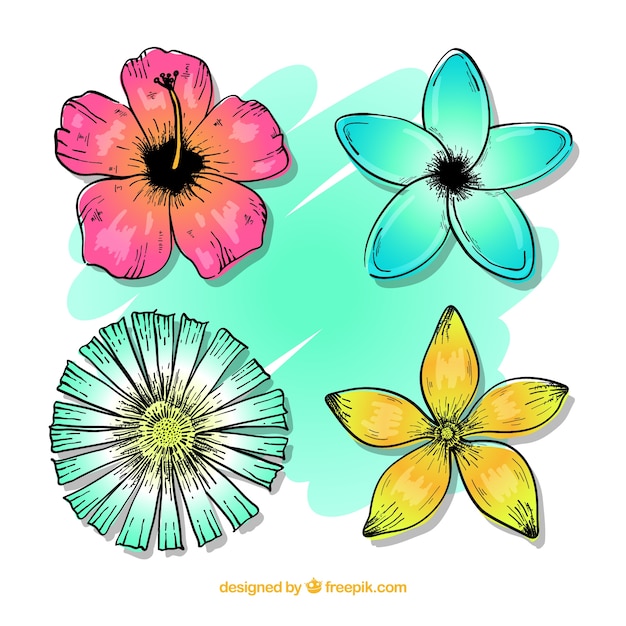 Hand drawn set of colorful tropical flowers