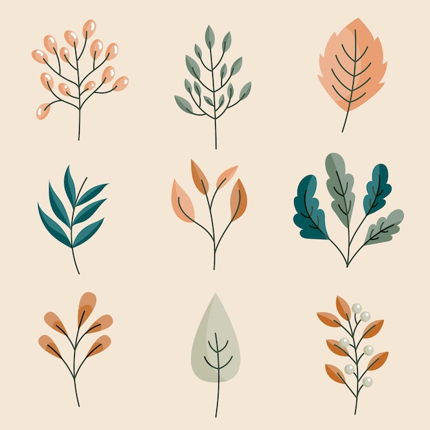 Hand drawn set of leaves