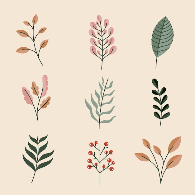 Free vector hand drawn set of leaves