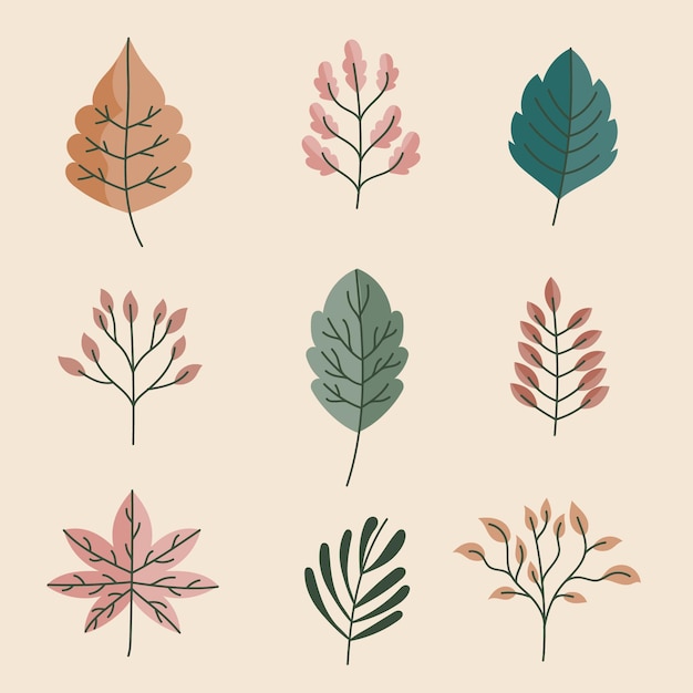 Hand drawn set of leaves