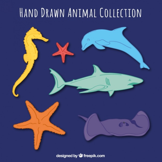 無料Vector 海洋動物の手描きセット