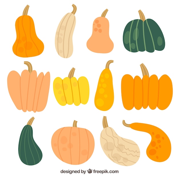 Hand drawn set of natural pumpkins