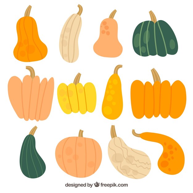 Hand drawn set of natural pumpkins