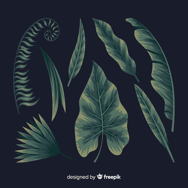 Hand drawn set of tropical leaves