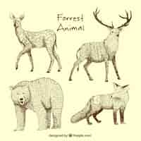Free vector hand-drawn set of wild animals