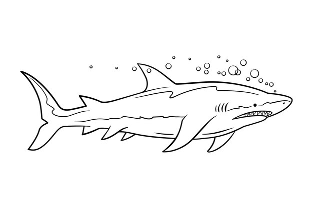 Hand drawn shark outline illustration