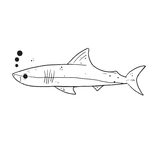 Hand drawn shark outline illustration