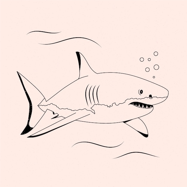 Free Vector hand drawn shark outline illustration