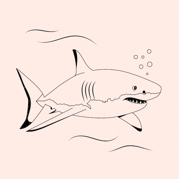 Hand drawn shark outline illustration