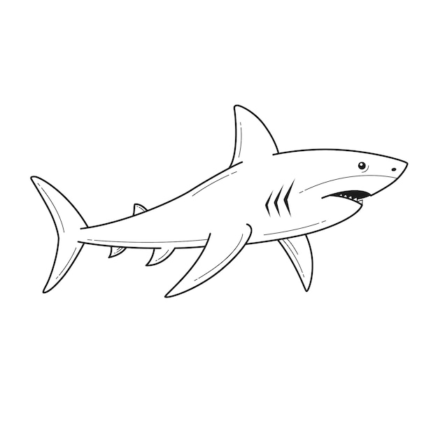 Hand drawn shark outline illustration