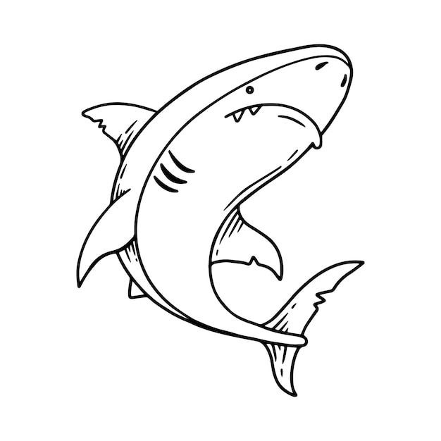手描きのサメの輪郭