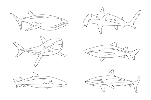 Бесплатное векторное изображение Ручной обращается контур акулы