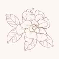 Free vector hand drawn simple flower outline illustration