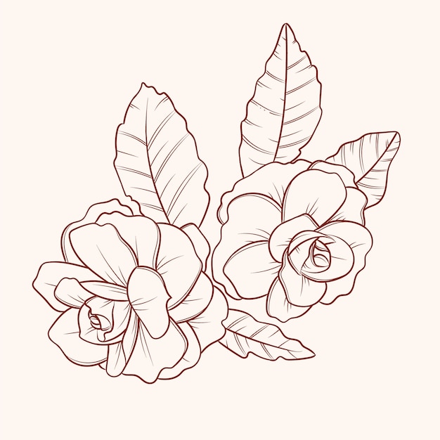 Hand drawn simple flower outline illustration