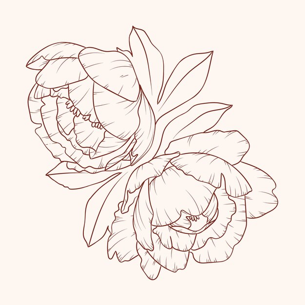 Hand drawn simple flower outline illustration