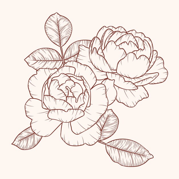 Hand drawn simple flower outline illustration