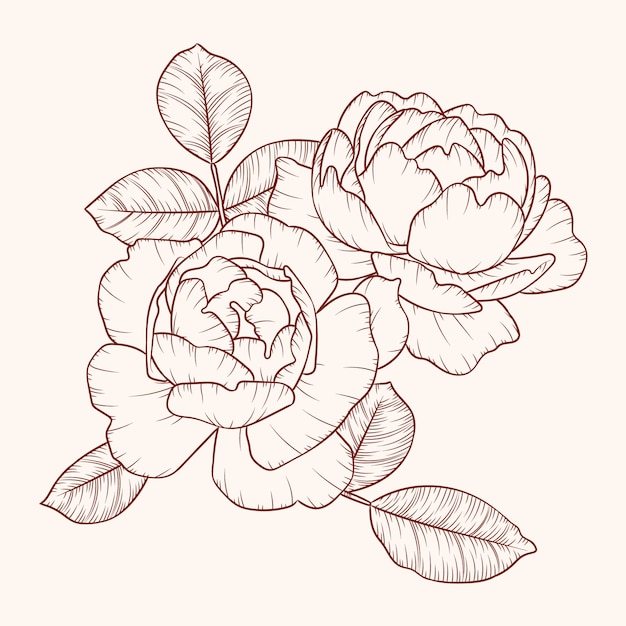 Hand drawn simple flower outline illustration