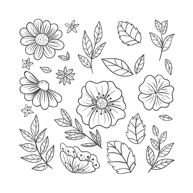 Hand drawn simple flower outline illustration