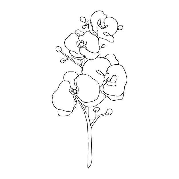Бесплатное векторное изображение Нарисованная рукой простая иллюстрация наброска цветка