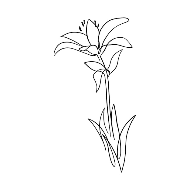 Hand drawn simple flower outline illustration