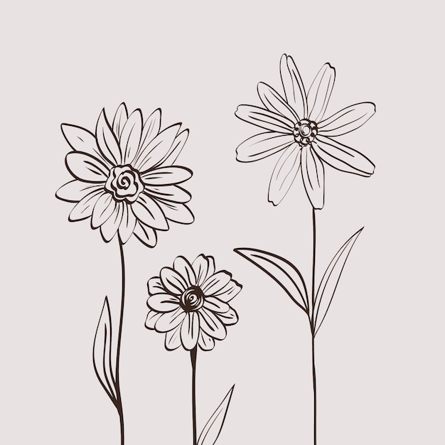 Hand drawn simple flower outline illustration