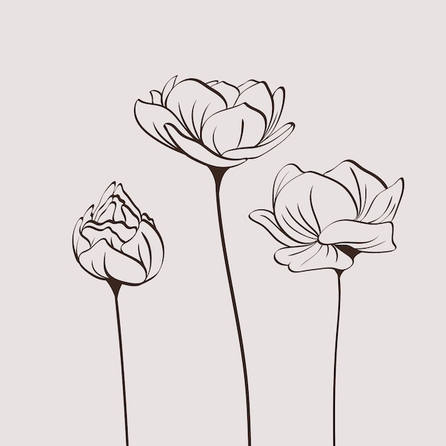 Free vector hand drawn simple flower outline illustration