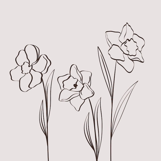 Free vector hand drawn simple flower outline illustration