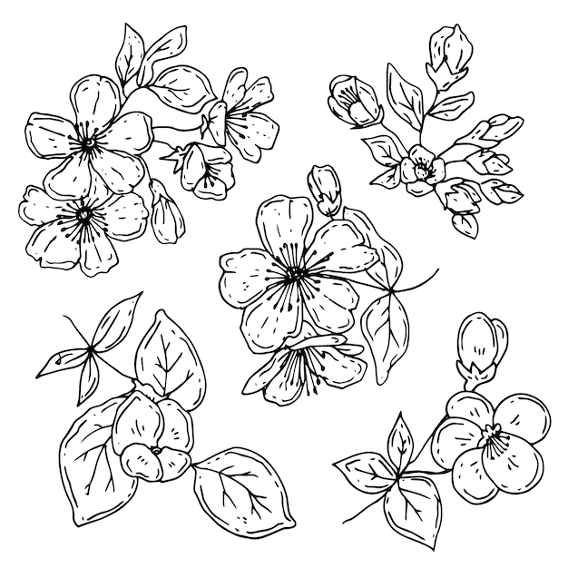 Hand drawn simple flower outline illustration