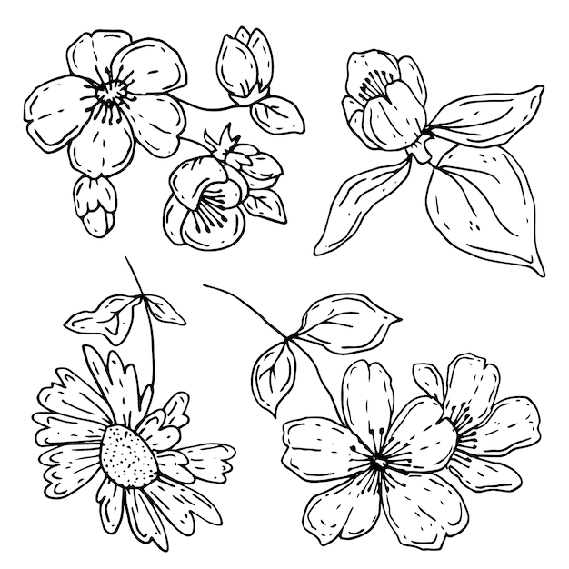 手描きのシンプルな花のアウトラインイラスト