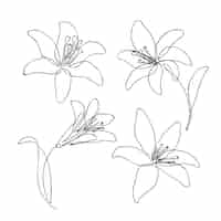 Free vector hand drawn simple flower outline illustration