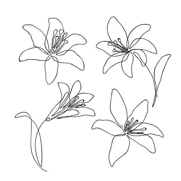 Hand drawn simple flower outline illustration