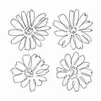 Free vector hand drawn simple flower outline illustration