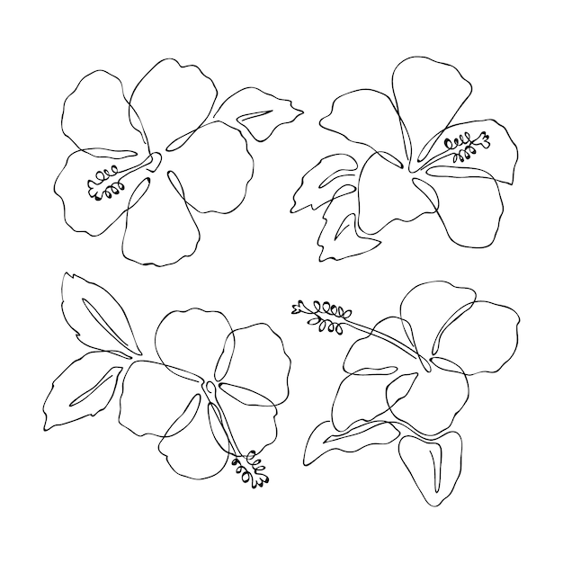 Free vector hand drawn simple flower outline illustration