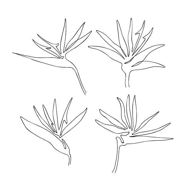 Free vector hand drawn simple flower outline illustration