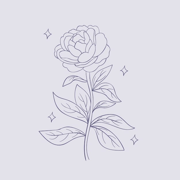 Hand drawn simple flower outline illustration