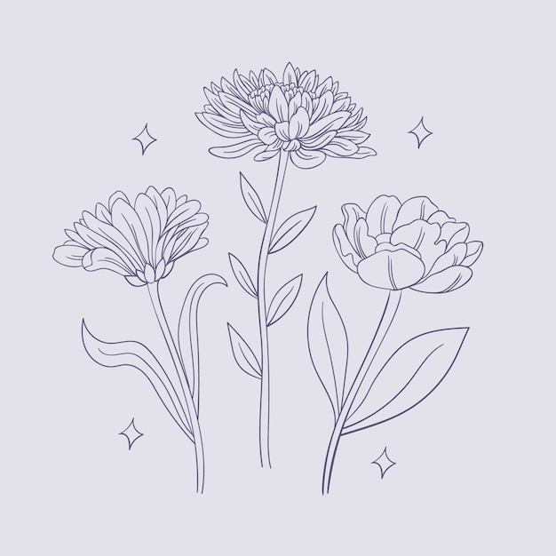 Free vector hand drawn simple flower outline illustration