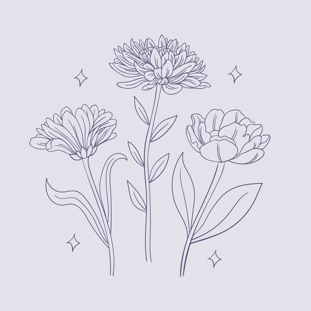 Hand drawn simple flower outline illustration