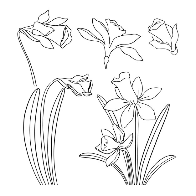 Hand drawn simple flower outline illustration