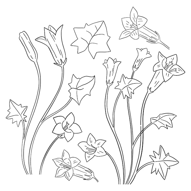 無料ベクター 手描きのシンプルな花のアウトラインイラスト