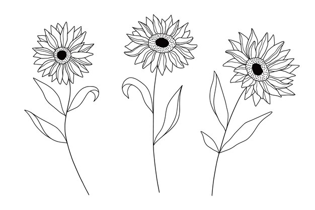 Hand drawn simple flower outline illustration