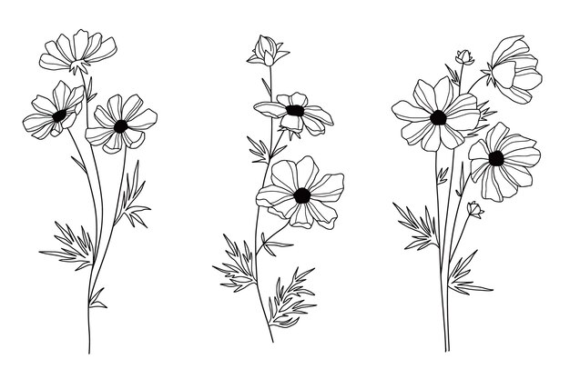 Hand drawn simple flower outline illustration