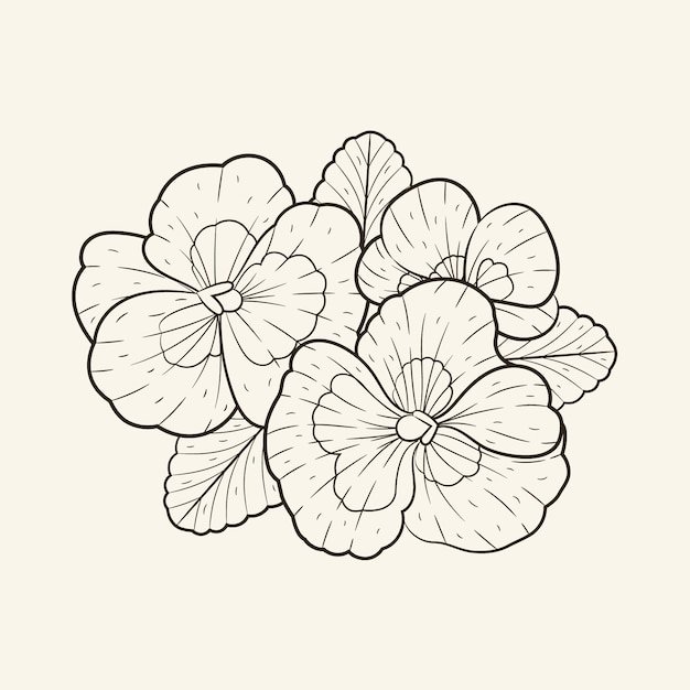 Hand drawn simple flower outline illustration