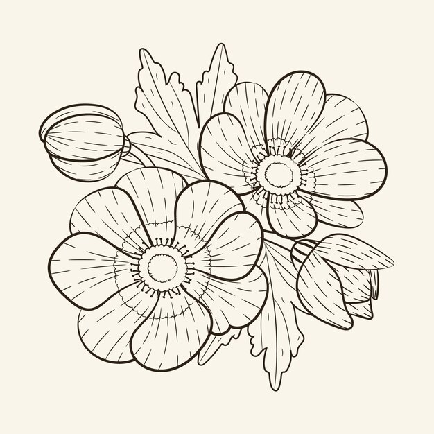 Hand drawn simple flower outline illustration