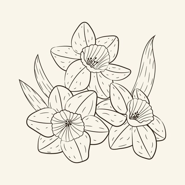 Hand drawn simple flower outline illustration